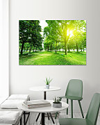 Obraz Zeleň v parku 1671